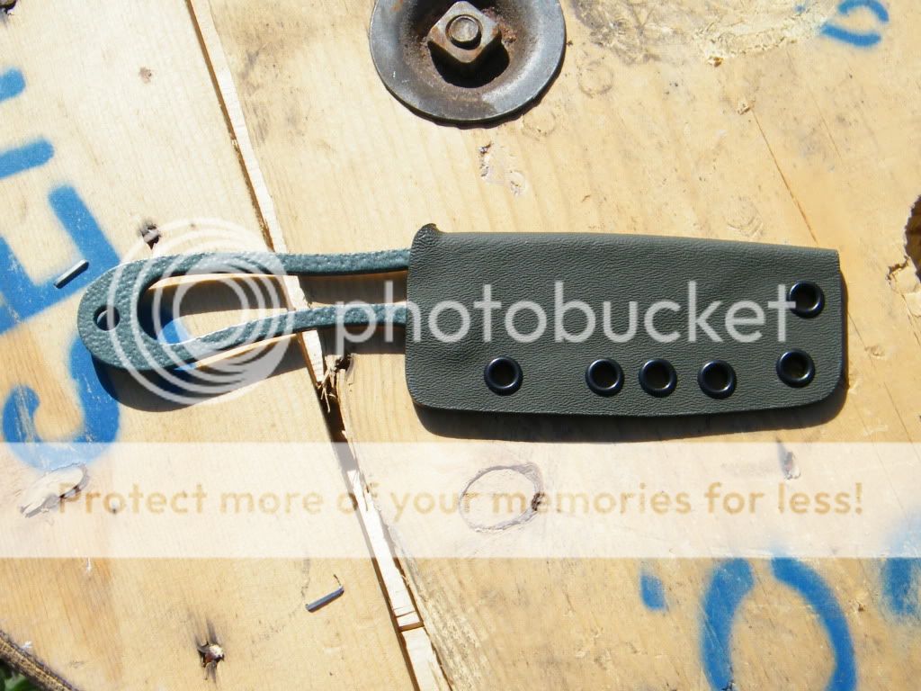 DSCF2806.jpg