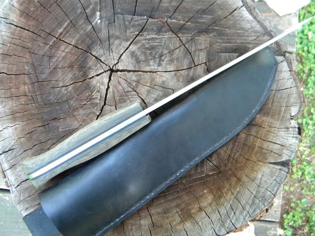 DSCN1285.jpg