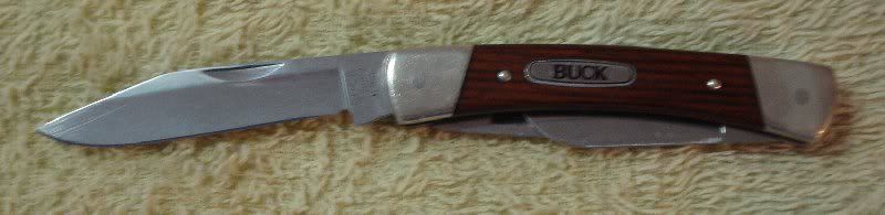 Buck_703_3.jpg