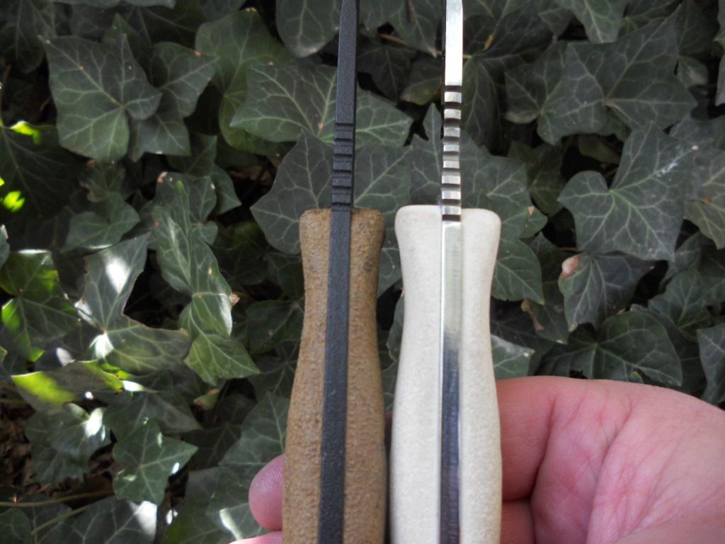 DSCN1006.jpg