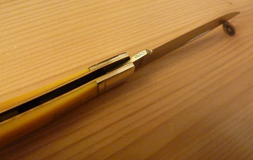 P1020251k.jpg