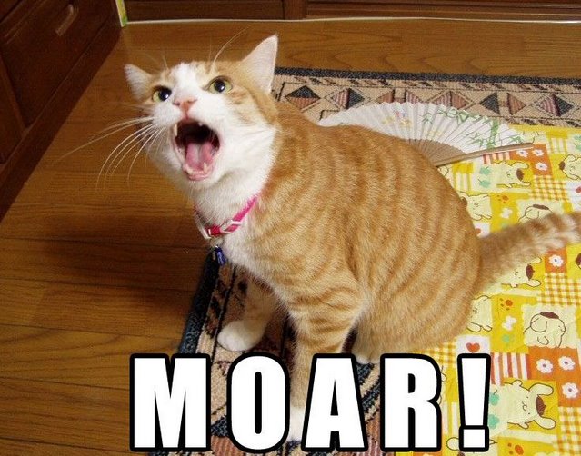 lolcats-MOAR!.jpg