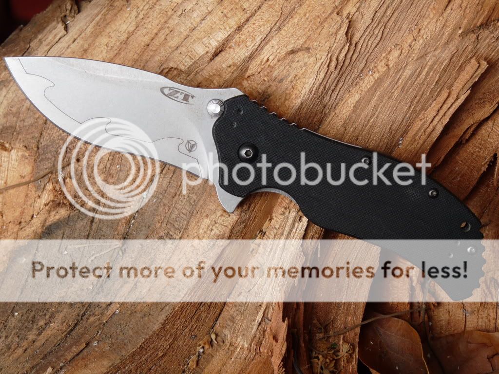 ZT0350outside.jpg