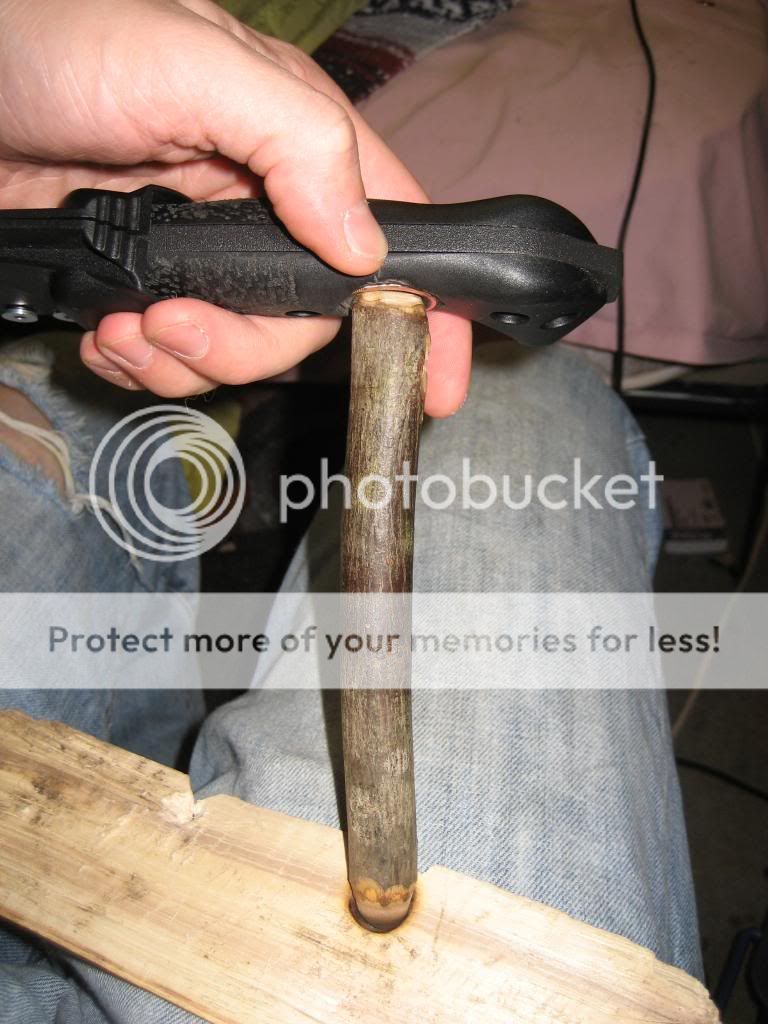flowersandknife080.jpg
