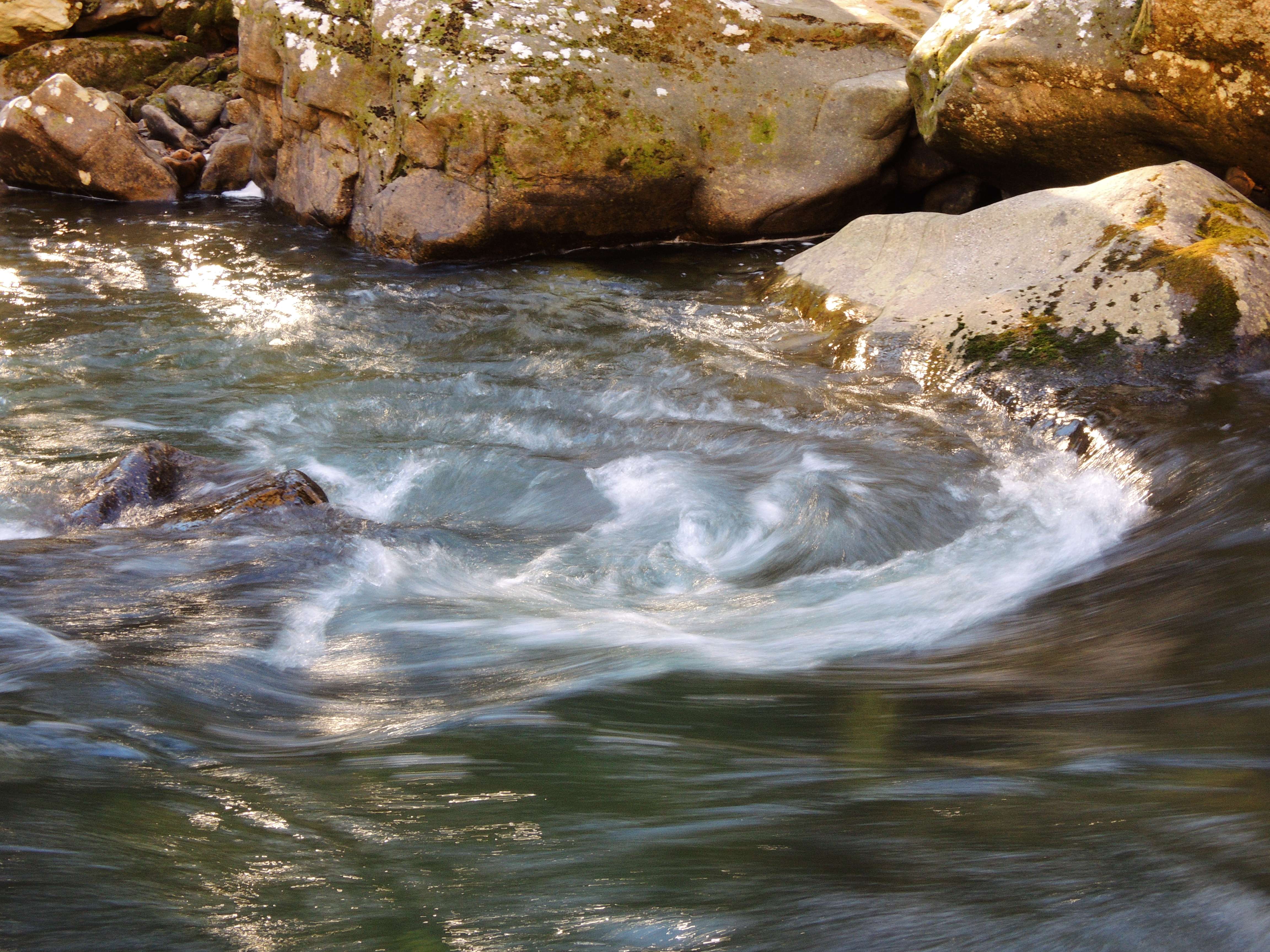 dscn6945.jpg