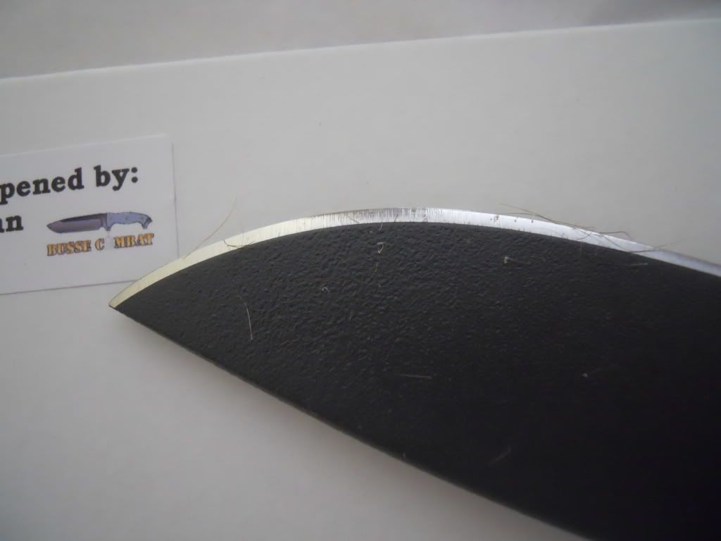 DSCN1721.jpg