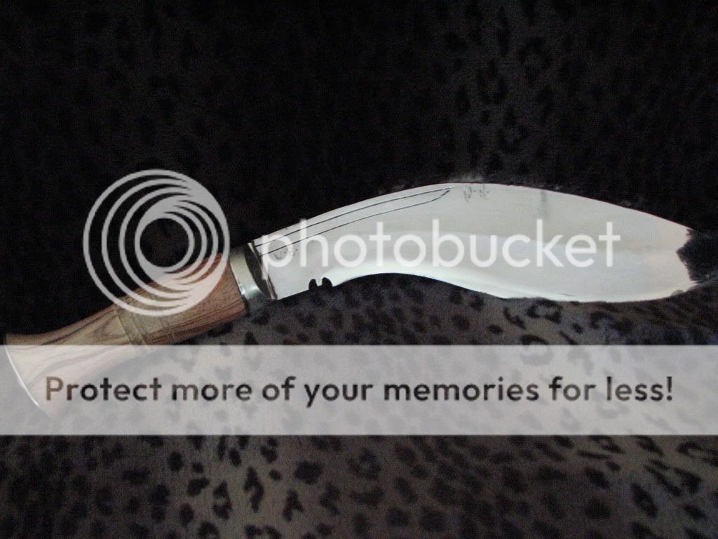 IMG_1871.jpg