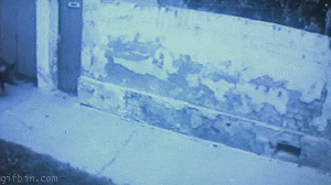 c52.gif