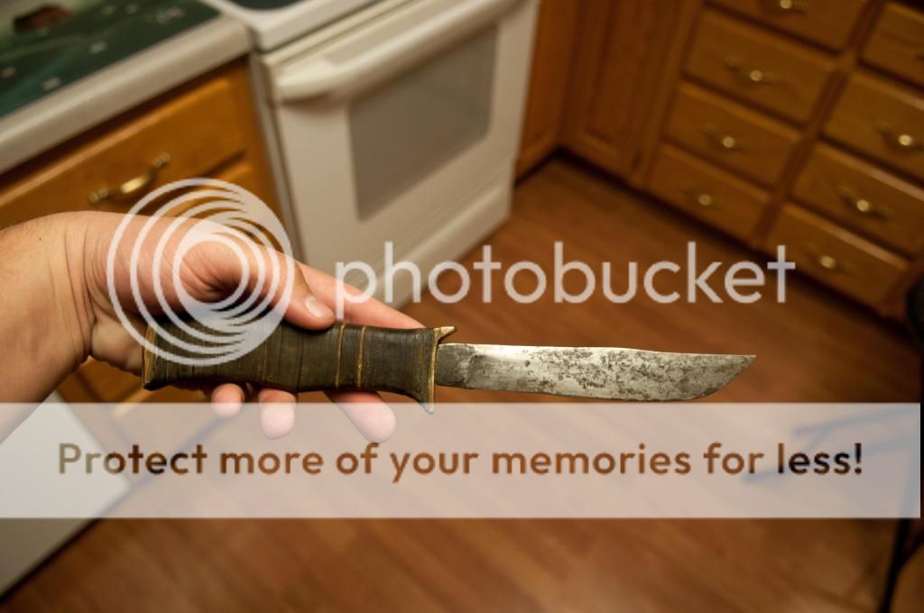 _DMJ4704.jpg