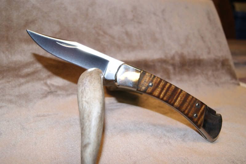 CocobolaBG-42Custom.jpg