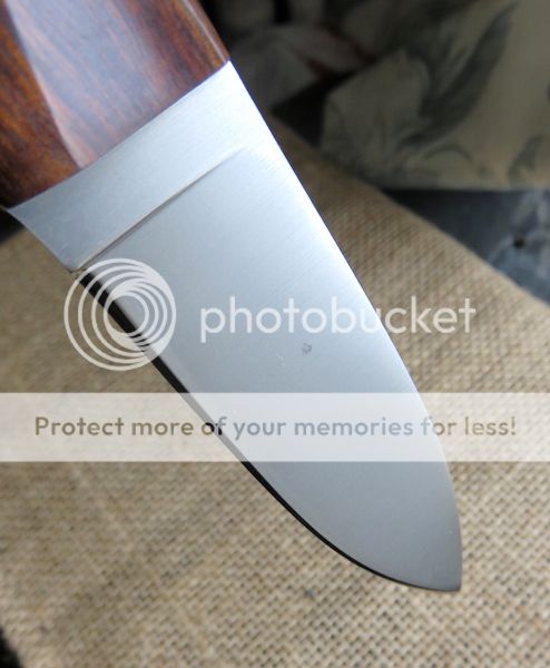 IMG_1462.jpg~original