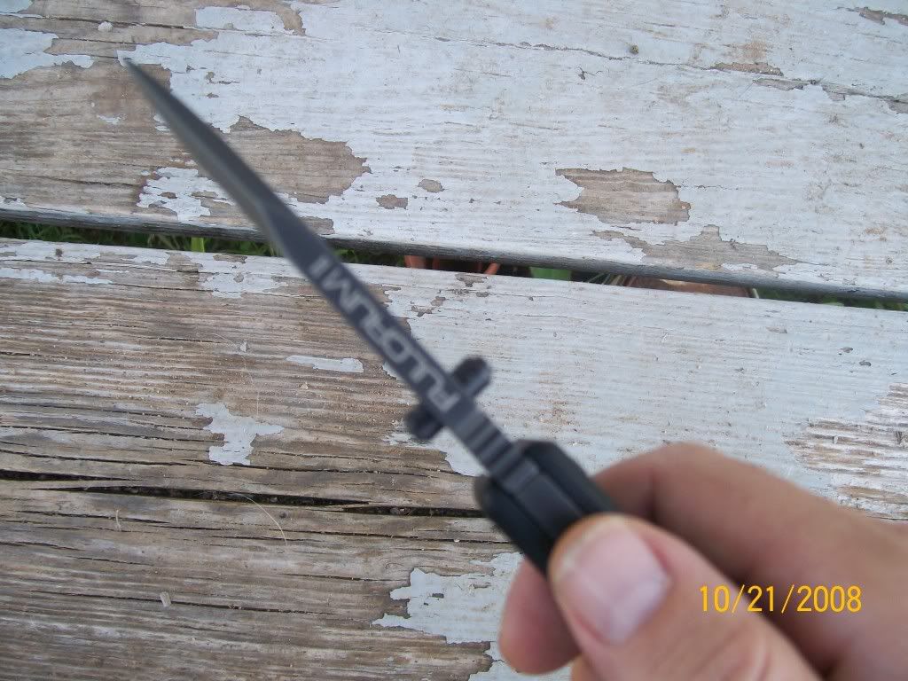 100_1003.jpg
