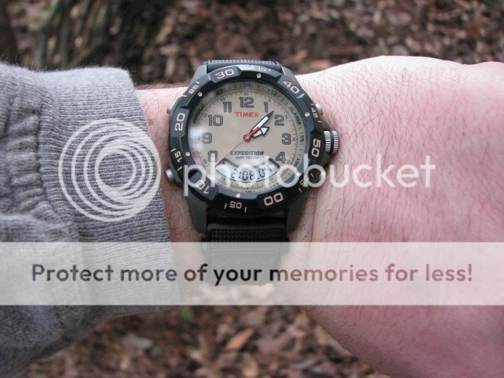 IMG_3358-2_zpsc9e2a586.jpg