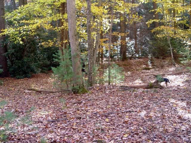 DSC03507.jpg