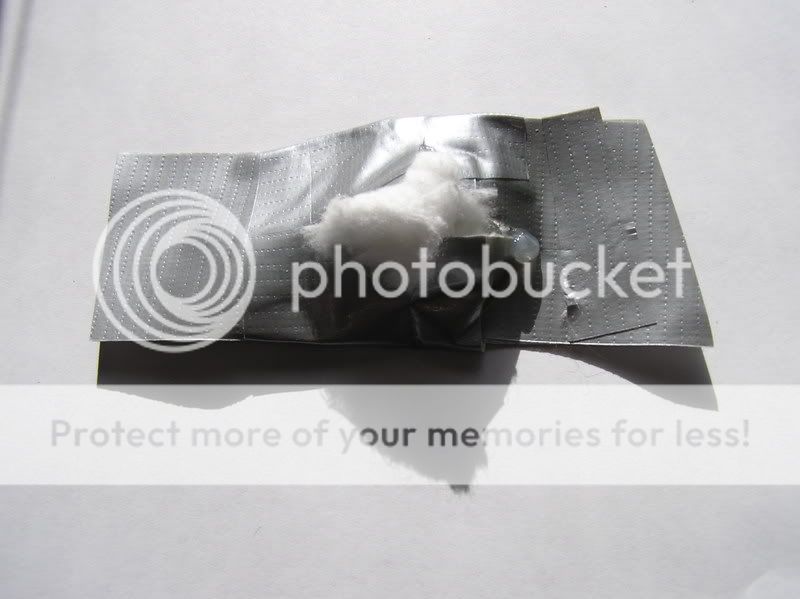 p1010008-2.jpg