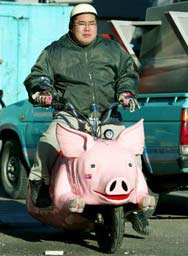 pigbike2.jpg