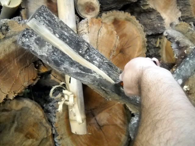 DSCN7150.jpg