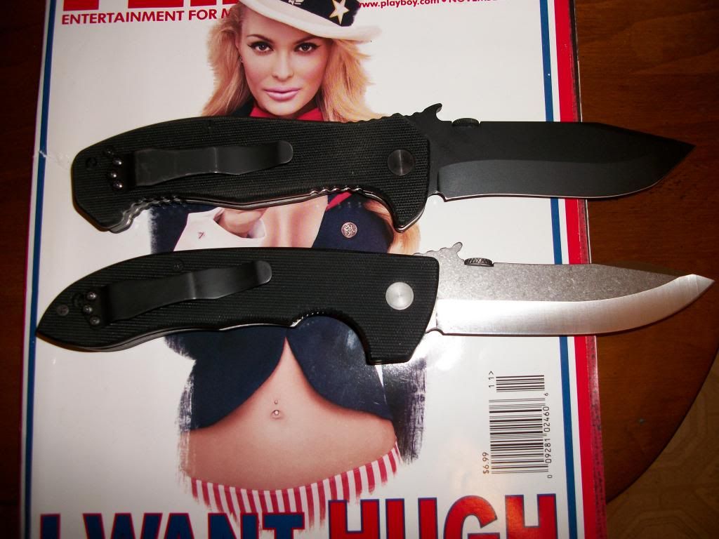 100_0277_zps95cdf8be.jpg