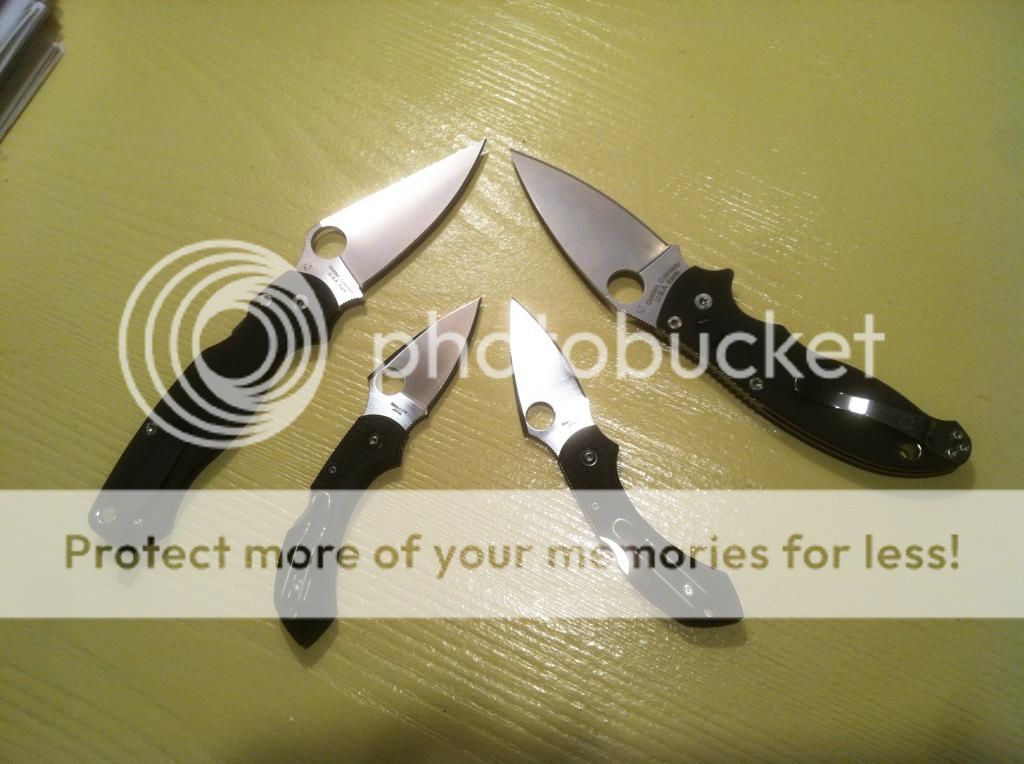spydie1_zps18a3edbd.jpeg