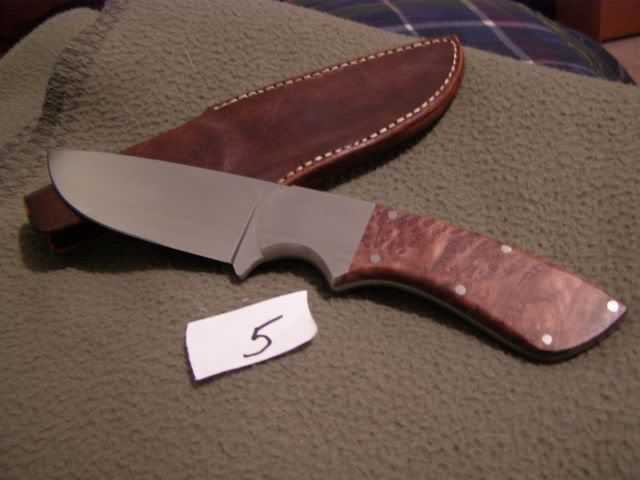 redwood5.jpg