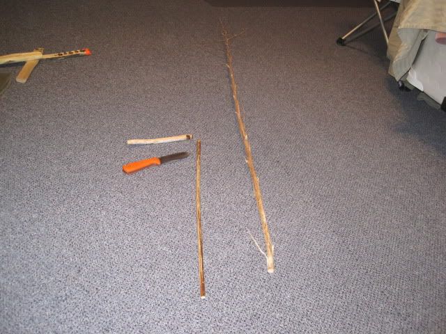 IMG_1534.jpg