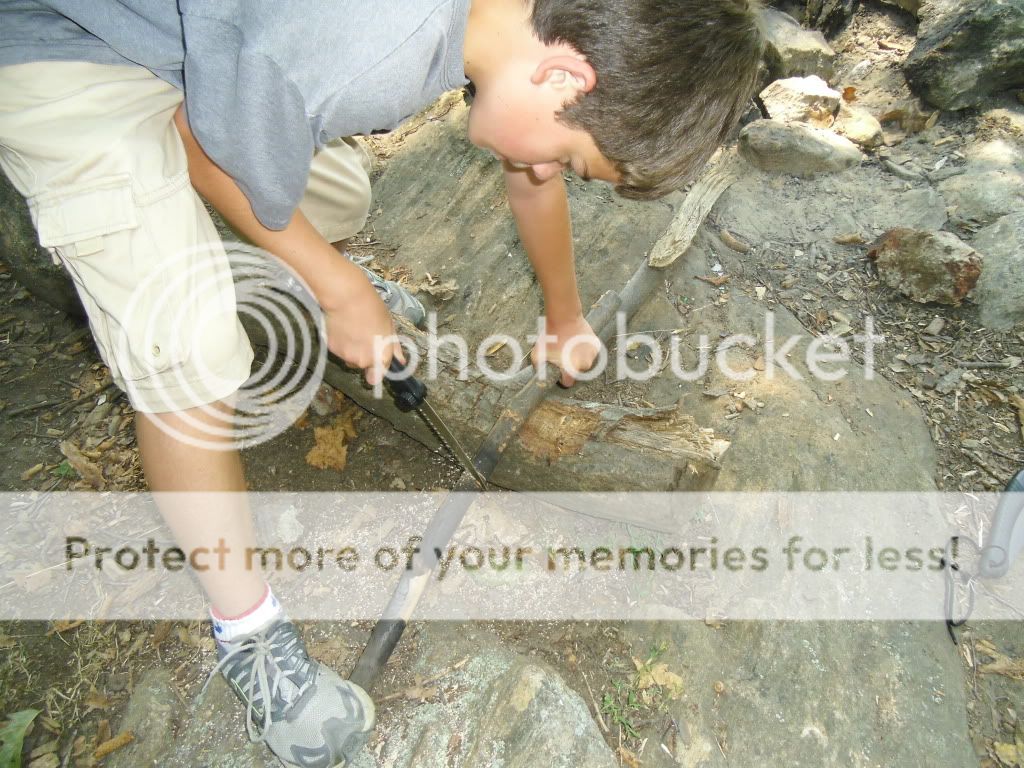 PICT0006-43.jpg