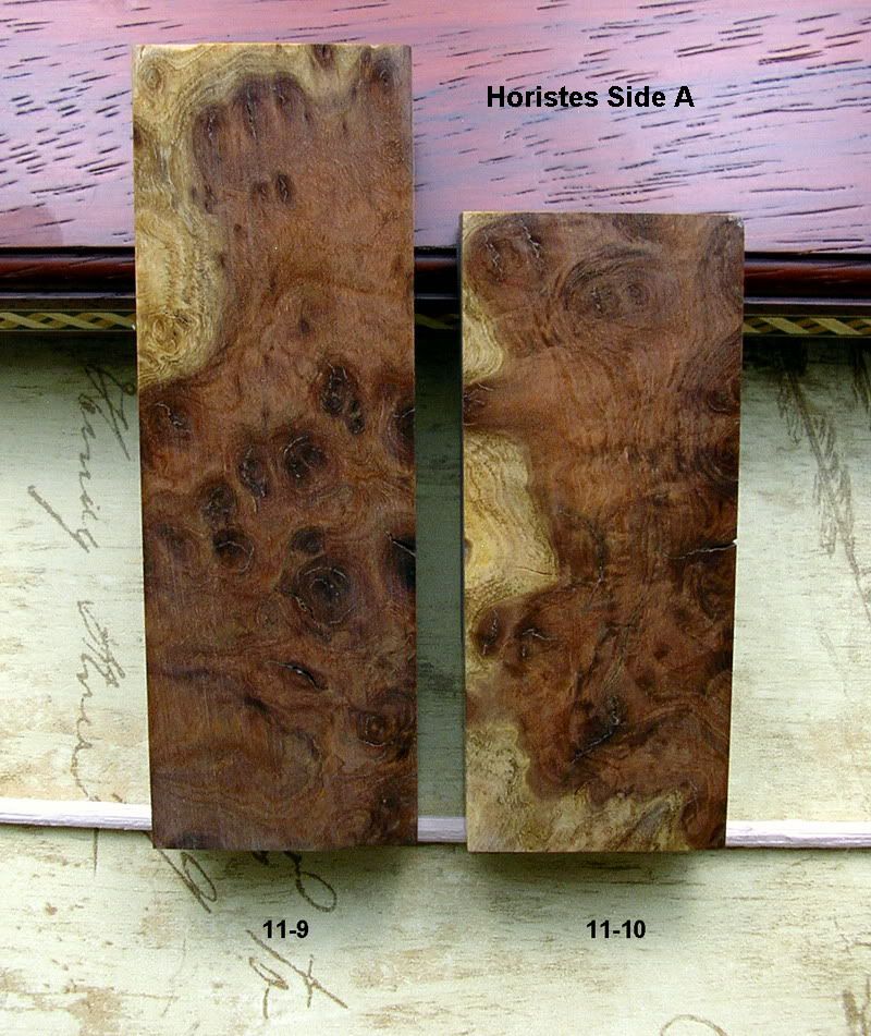 Horistes119thru1110sideA.jpg