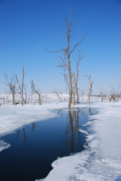 780359453_reTb2-L.jpg
