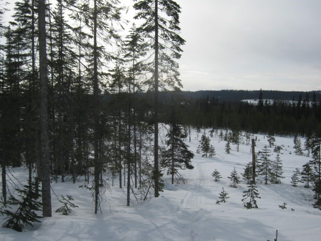 166.jpg