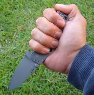 590reversegrip.jpg