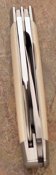 tbose-358ivoryclipDEcattle0-5.jpg