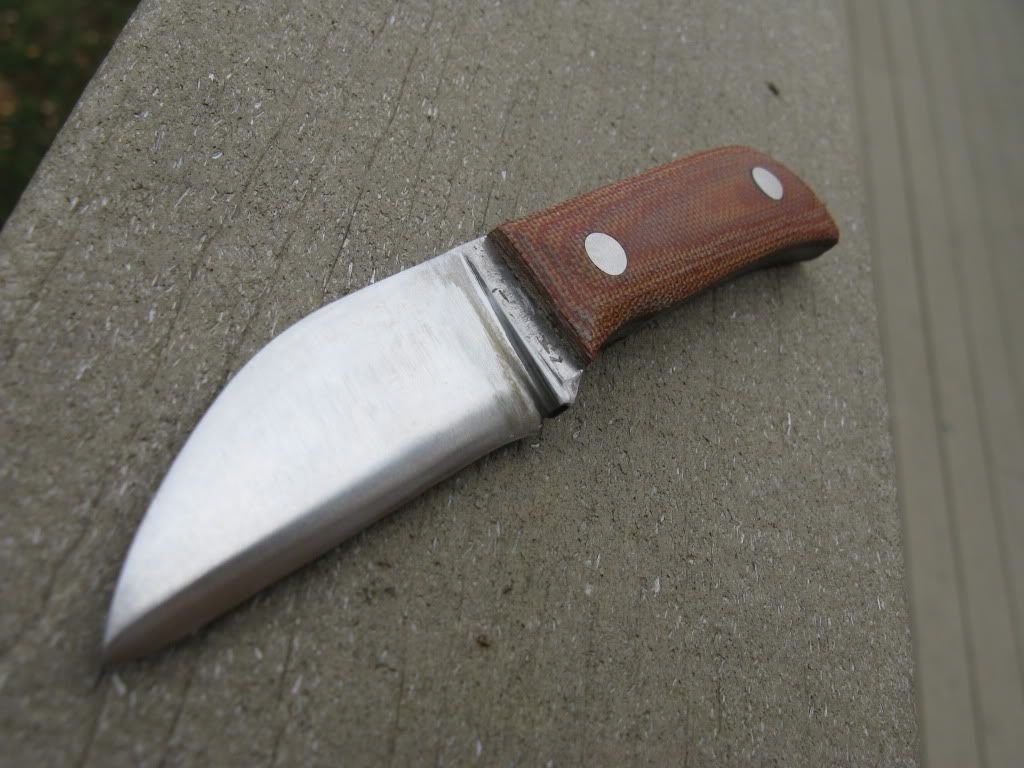 Wharnie001.jpg