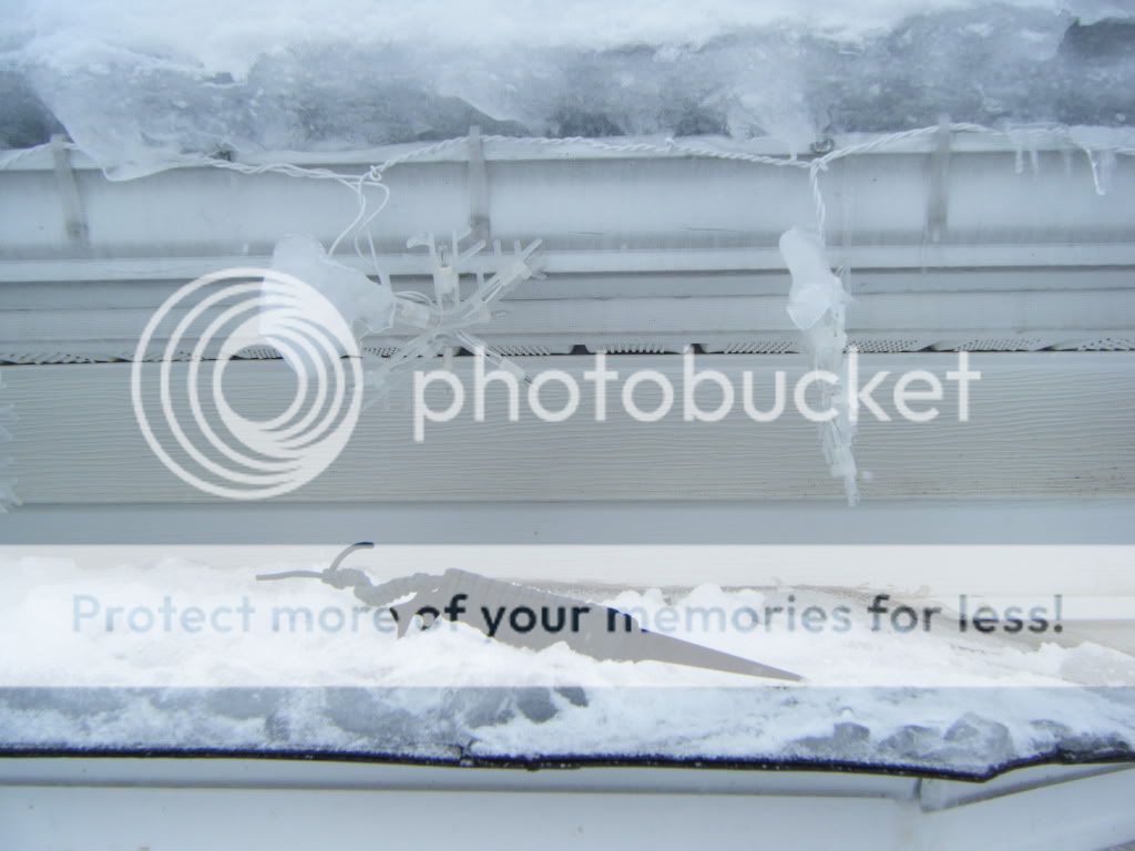 DSCF4636.jpg