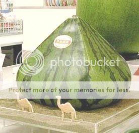 TriangleWatermelon-2.jpg