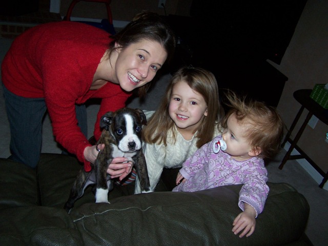family19-vi.jpg