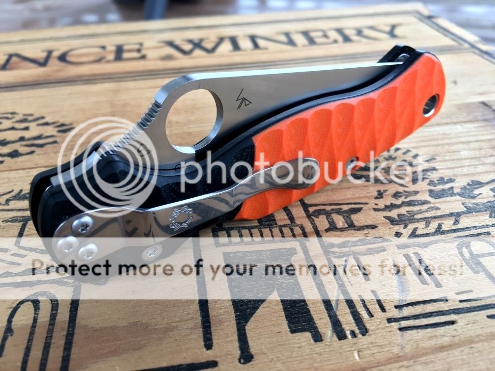 PM2%204_1.jpg