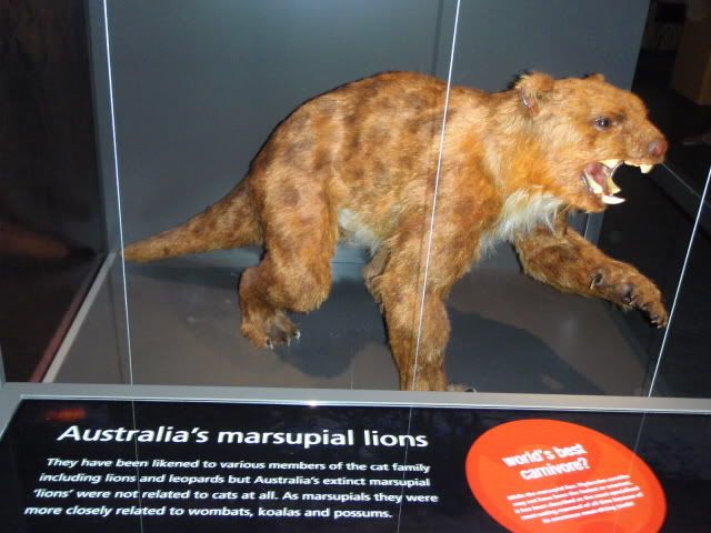 Austmarsupiallion.jpg