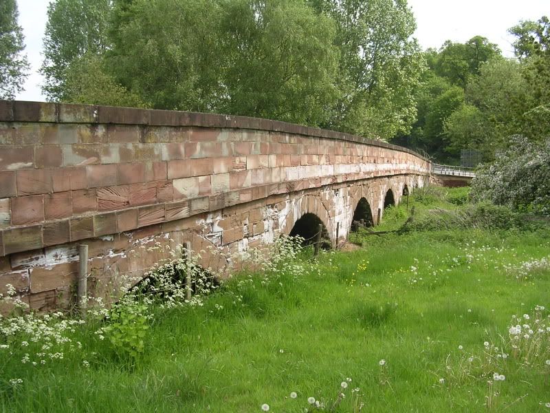 DSCN0908.jpg