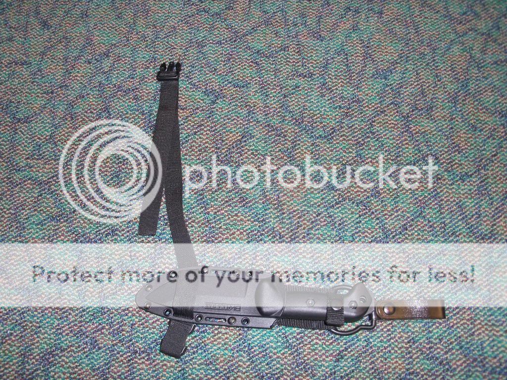 100_4120.jpg