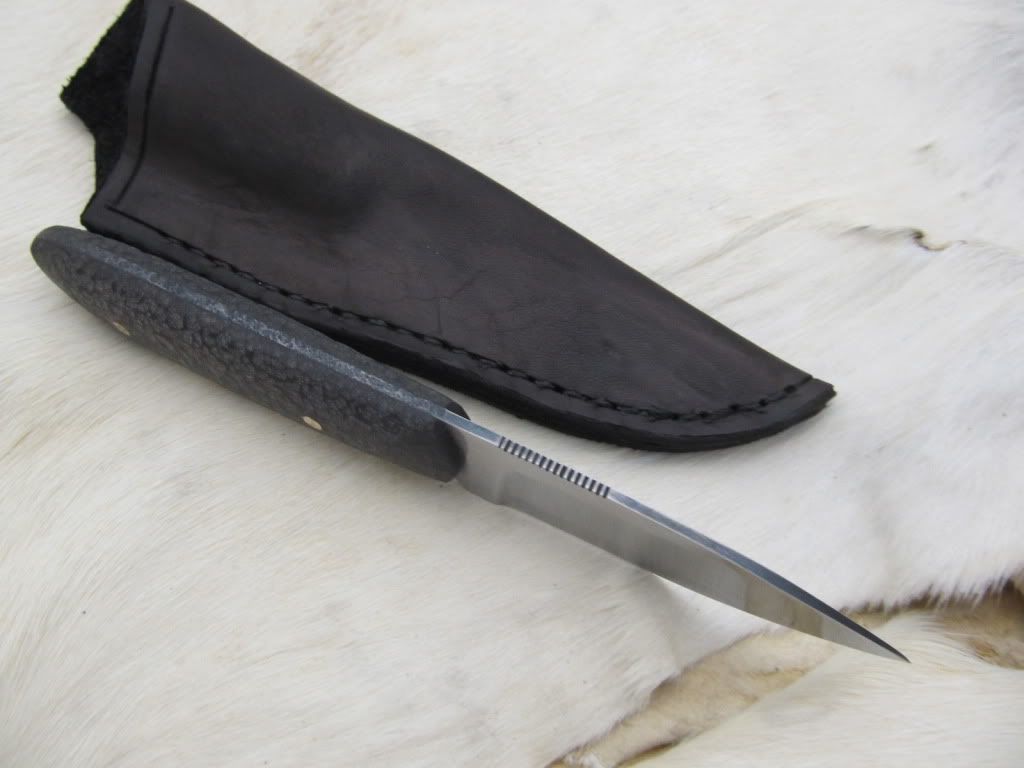 g10hunter001.jpg