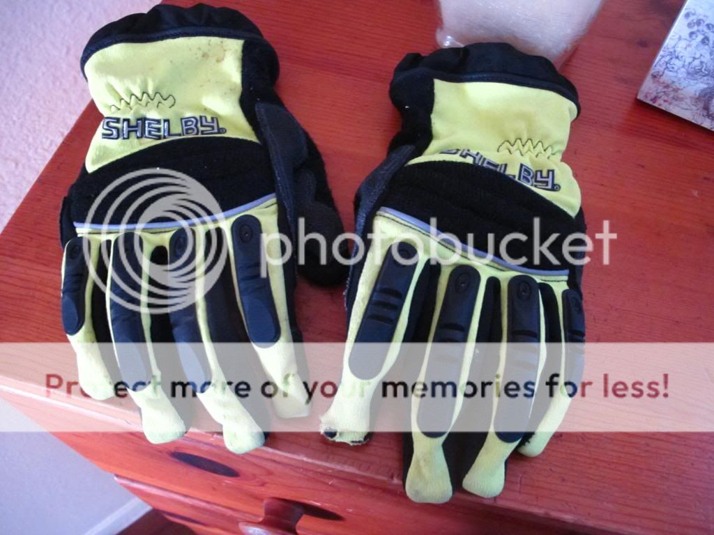 IMG_1793_zpsa35bf220.jpg