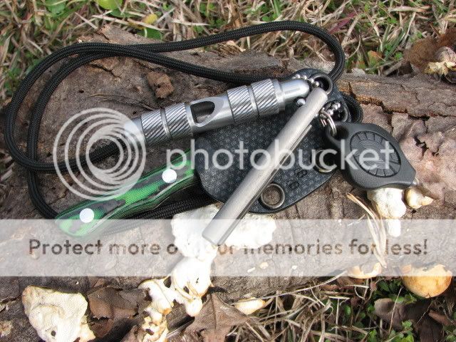 Whistle.jpg