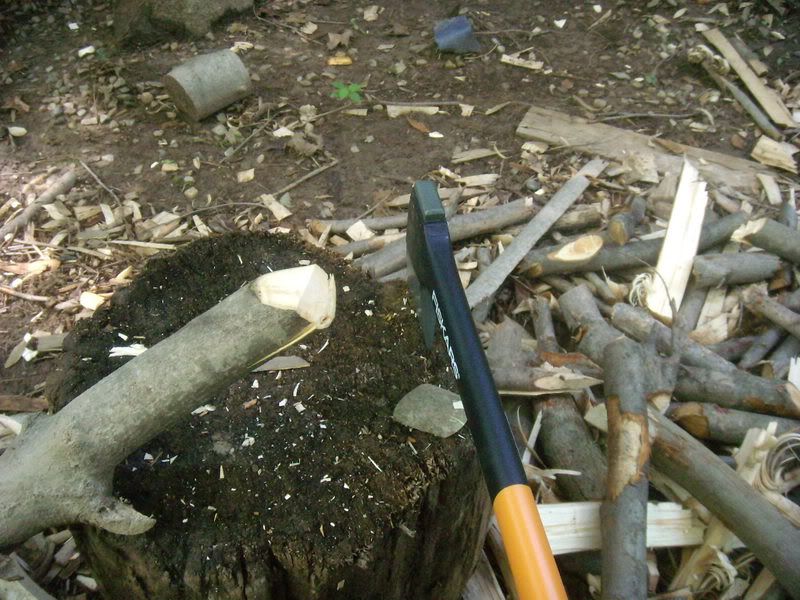 DSCN6752.jpg