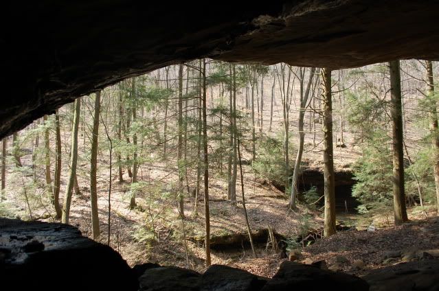 DSC_0278.jpg