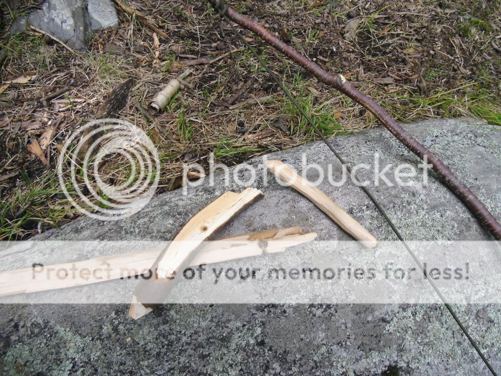 PICT0103.jpg