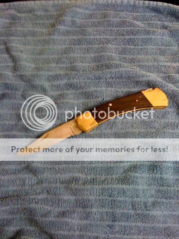 buck110.jpg