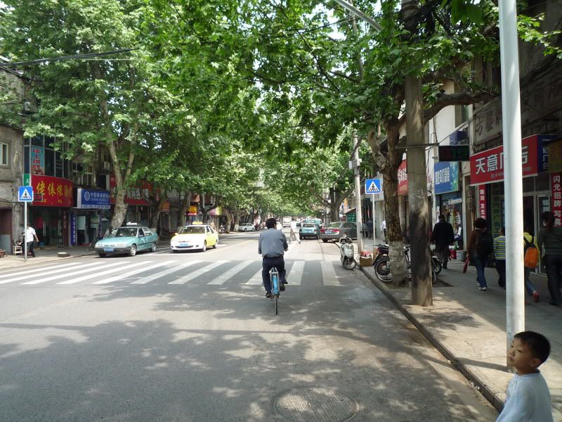 P1060905.jpg