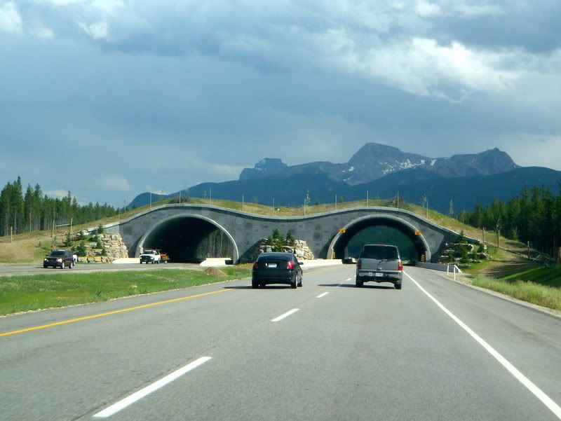 Banff2012076.jpg