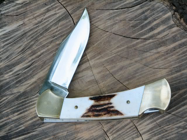 buck1.jpg