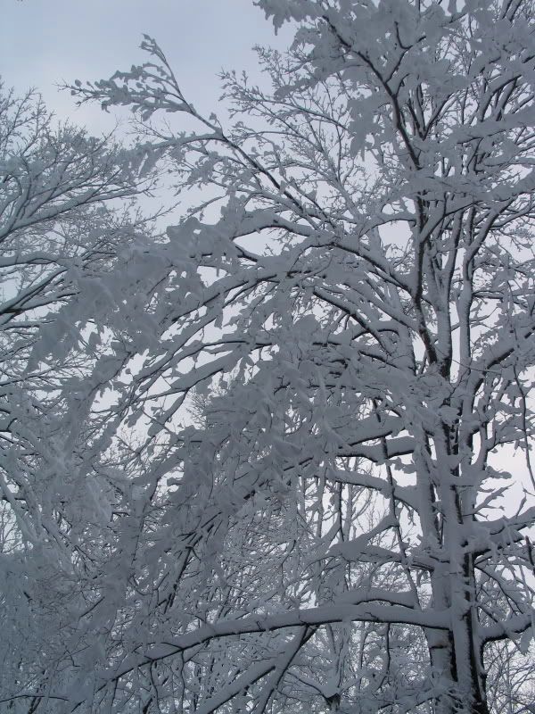 BruceWinter3.jpg